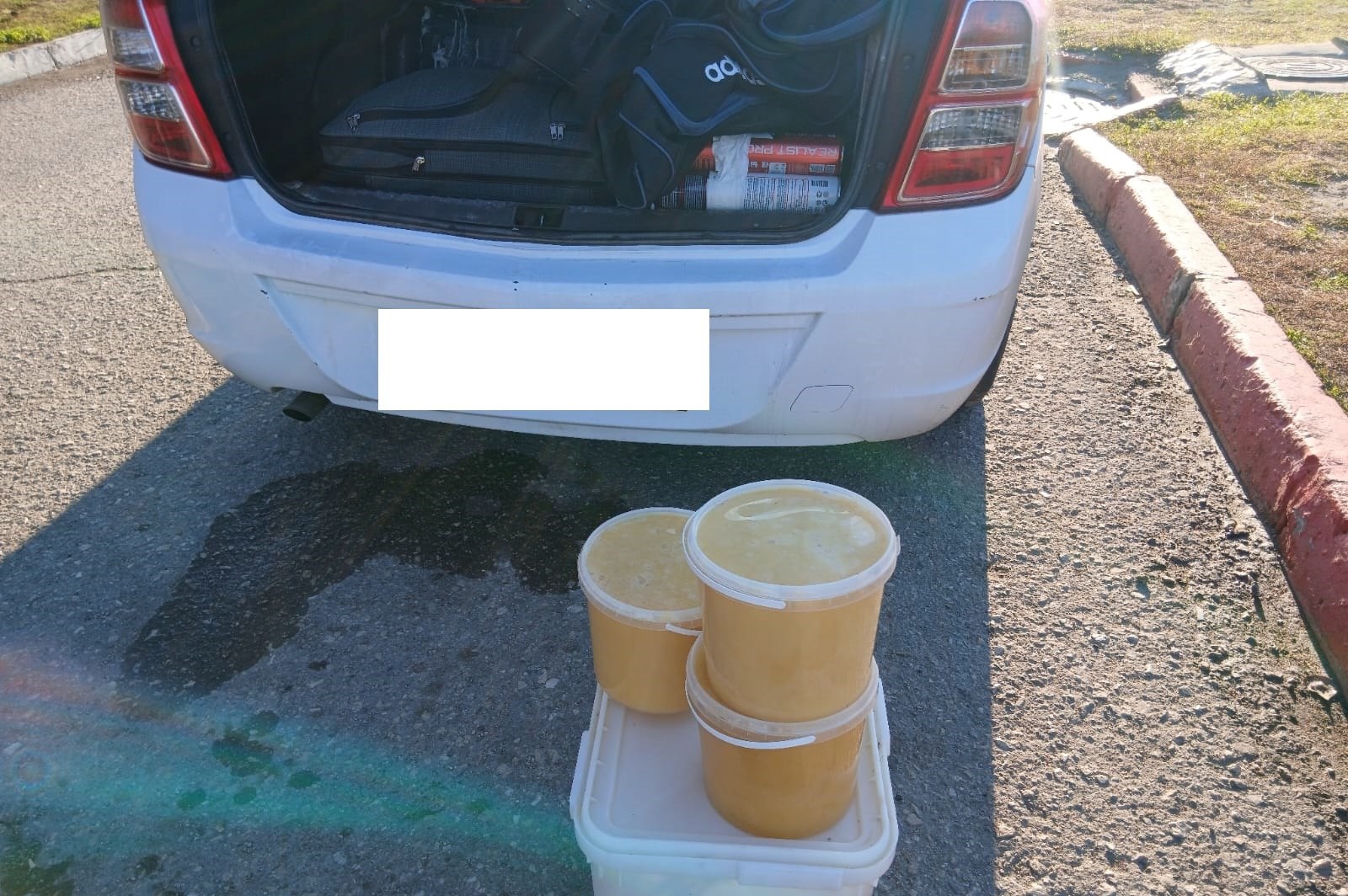 Легковушку с партией сомнительного мёда не выпустили из Саратовской области